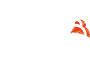team-value