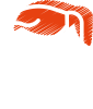 team-value